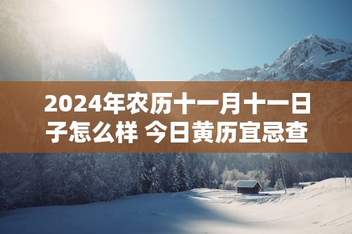 2025年农历十一月十一日子怎么样 今日黄历宜忌查询