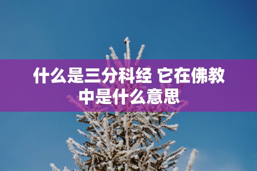 什么是三分科经 它在佛教中是什么意思