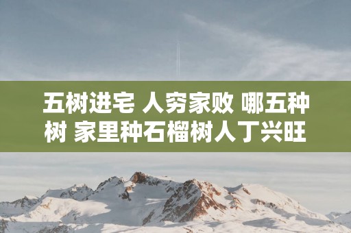 五树进宅 人穷家败 哪五种树 家里种石榴树人丁兴旺
