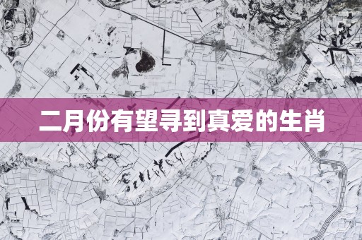 二月份有望寻到真爱的生肖