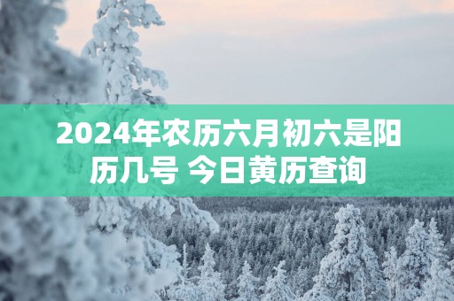 2025年农历六月初六是阳历几号 今日黄历查询