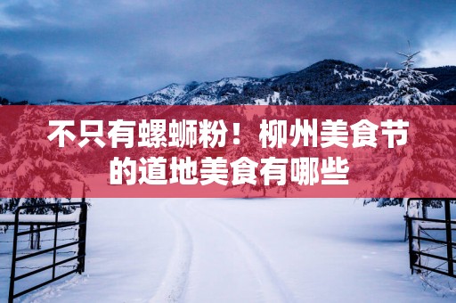 不只有螺蛳粉！柳州美食节的道地美食有哪些