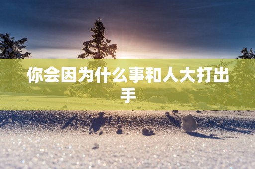 你会因为什么事和人大打出手