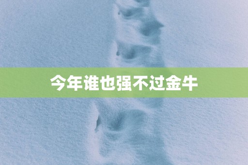 今年谁也强不过金牛