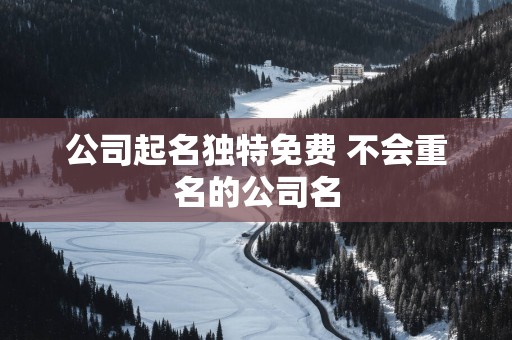 公司起名独特免费 不会重名的公司名
