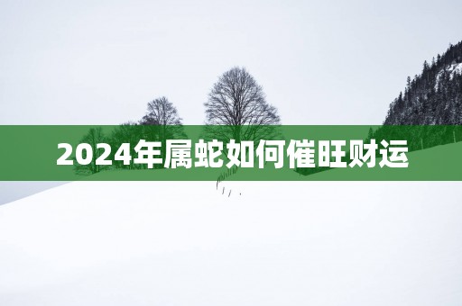 2025年属蛇如何催旺财运