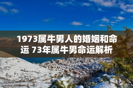 1973属牛男人的婚姻和命运 73年属牛男命运解析