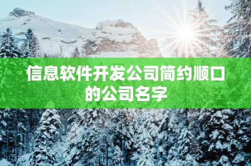 信息软件开发公司简约顺口的公司名字