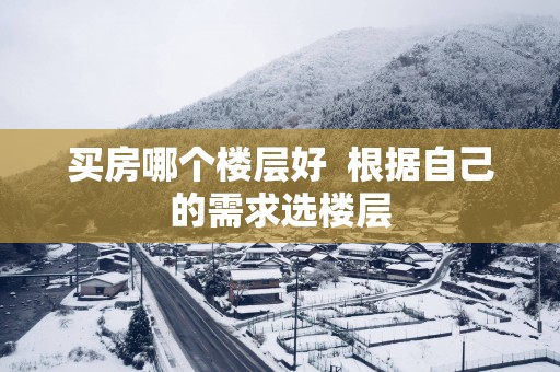 买房哪个楼层好  根据自己的需求选楼层
