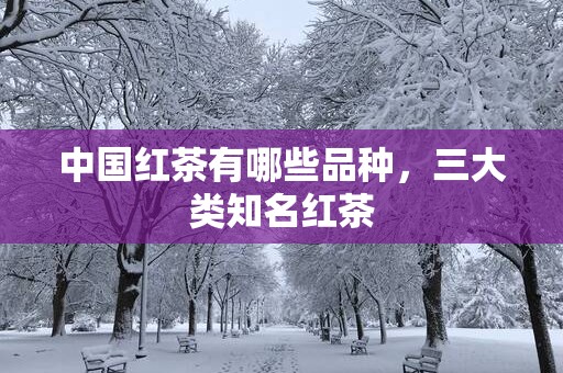 中国红茶有哪些品种，三大类知名红茶