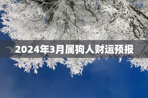 2025年3月属狗人财运预报