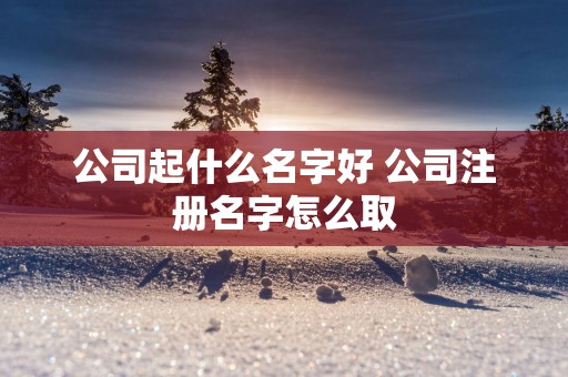 公司起什么名字好 公司注册名字怎么取