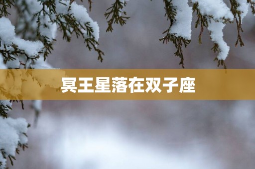 冥王星落在双子座