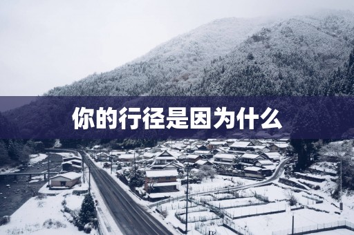 你的行径是因为什么