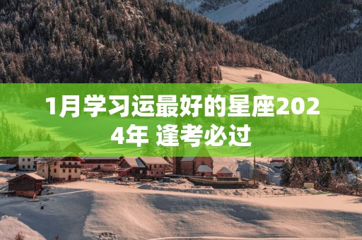 1月学习运最好的星座2025年 逢考必过