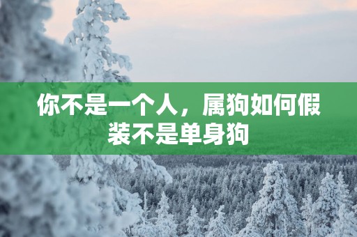 你不是一个人，属狗如何假装不是单身狗