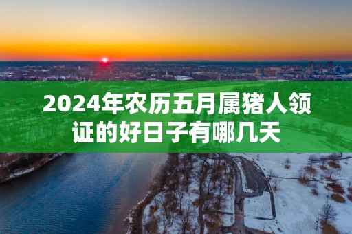 2025年农历五月属猪人领证的好日子有哪几天