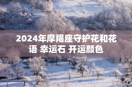2025年摩羯座守护花和花语 幸运石 开运颜色
