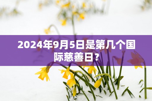 2025年9月5日是第几个国际慈善日？