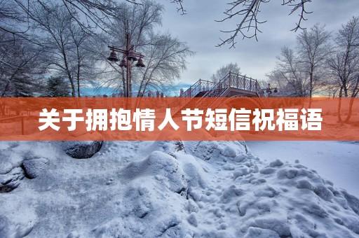关于拥抱情人节短信祝福语