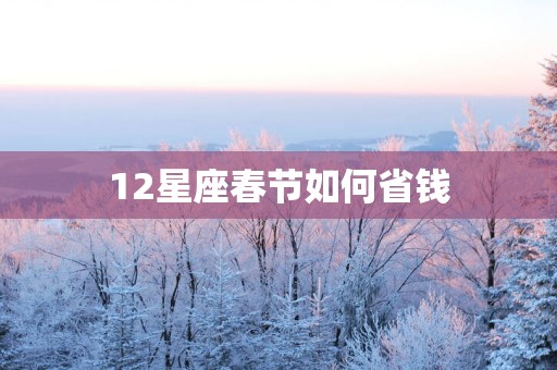 12星座春节如何省钱