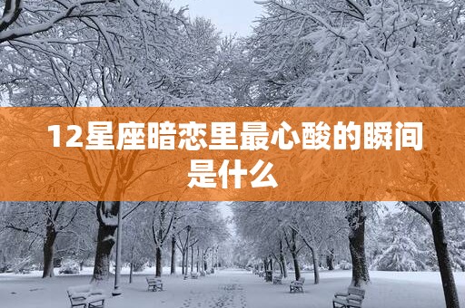 12星座暗恋里最心酸的瞬间是什么