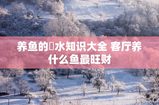 养鱼的風水知识大全 客厅养什么鱼最旺财