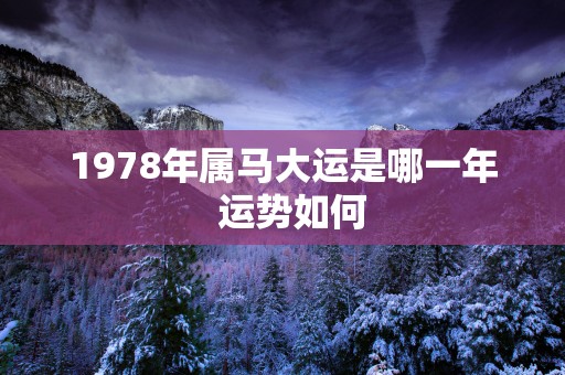 1978年属马大运是哪一年  运势如何