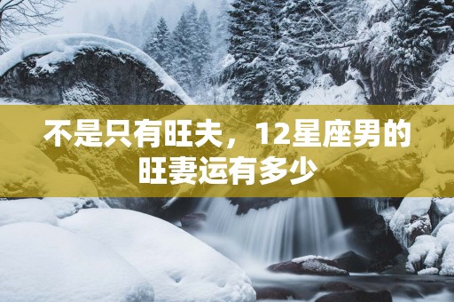 不是只有旺夫，12星座男的旺妻运有多少