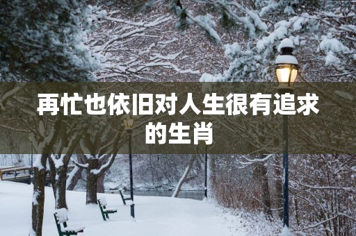 再忙也依旧对人生很有追求的生肖
