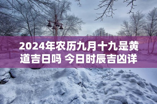 2025年农历九月十九是黄道吉日吗 今日时辰吉凶详细查询