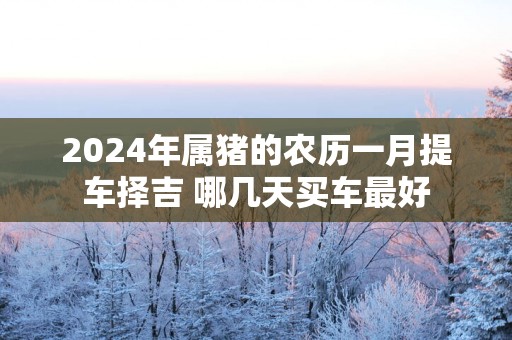 2025年属猪的农历一月提车择吉 哪几天买车最好