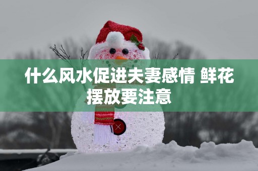 什么风水促进夫妻感情 鲜花摆放要注意