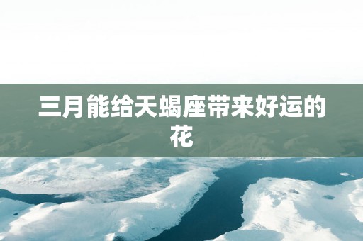 三月能给天蝎座带来好运的花