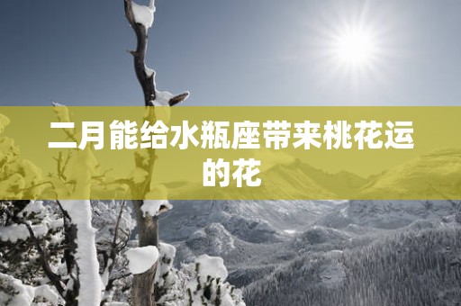 二月能给水瓶座带来桃花运的花
