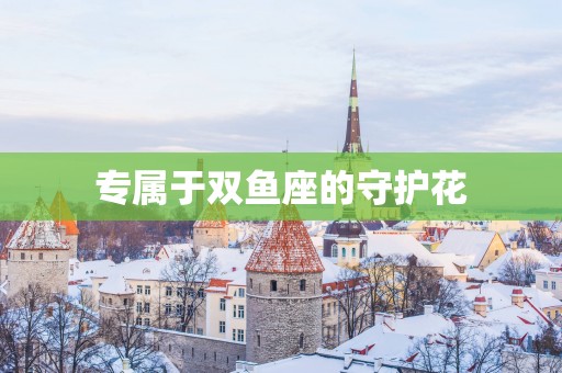 专属于双鱼座的守护花
