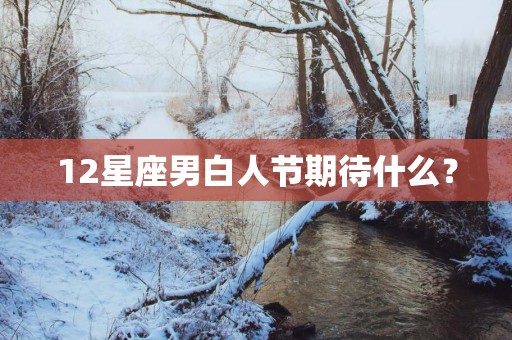 12星座男白人节期待什么？