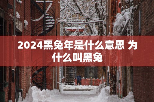 2025黑蛇年是什么意思 为什么叫黑兔