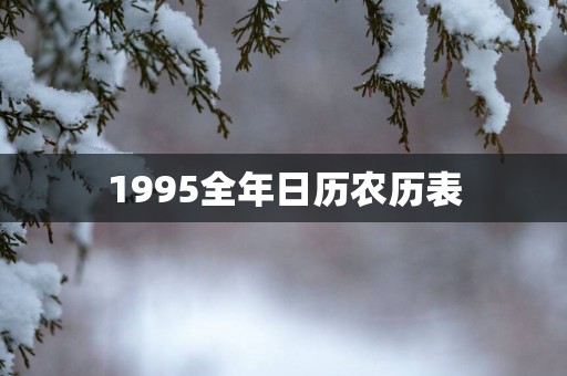 1995全年日历农历表