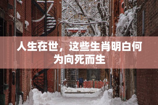 人生在世，这些生肖明白何为向死而生