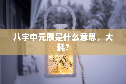 八字中元辰是什么意思，大耗？