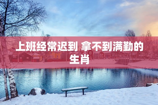 上班经常迟到 拿不到满勤的生肖
