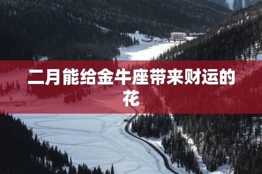 二月能给金牛座带来财运的花