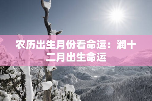农历出生月份看命运：润十二月出生命运
