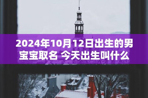 2025年10月12日出生的男宝宝取名 今天出生叫什么名字好