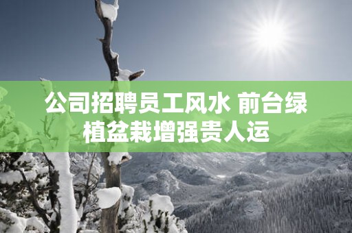 公司招聘员工风水 前台绿植盆栽增强贵人运