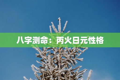 八字测命：丙火日元性格