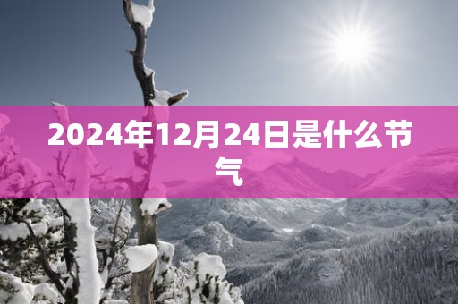 2025年12月24日是什么节气