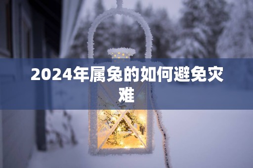 2025年属兔的如何避免灾难