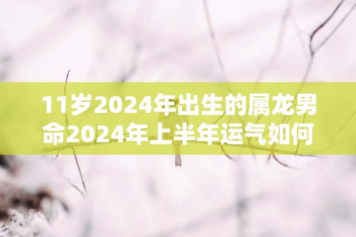 11岁2025年出生的属龙男命2025年上半年运气如何 运势详解